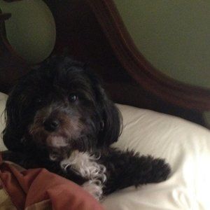 Meet your Posher, R. gail